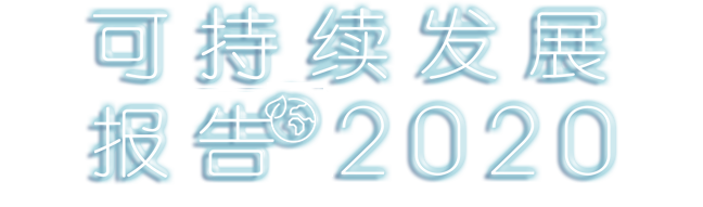 可持续发展报告2020